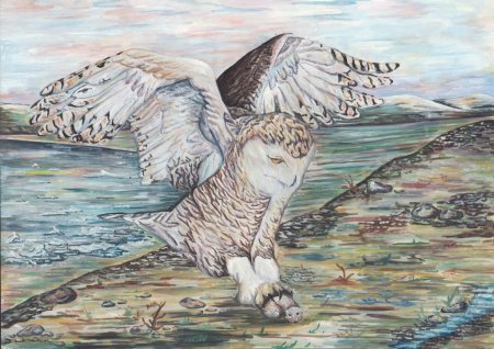 �� ���� � �������� �������!