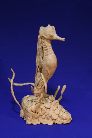 ��������� ��������