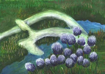 ������� �������������� ������� ���� ���������� ��������