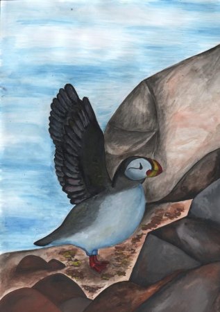 ������� �������������� ������� ���� ���������� ��������