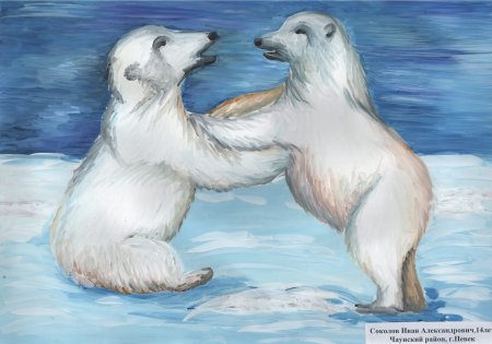 «Белый медведь – живой символ Арктики»